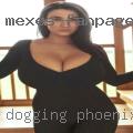 Dogging Phoenix